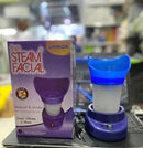 The Steam Facial